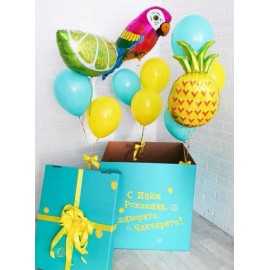 Коробка+фонтан с фруктами и попугай